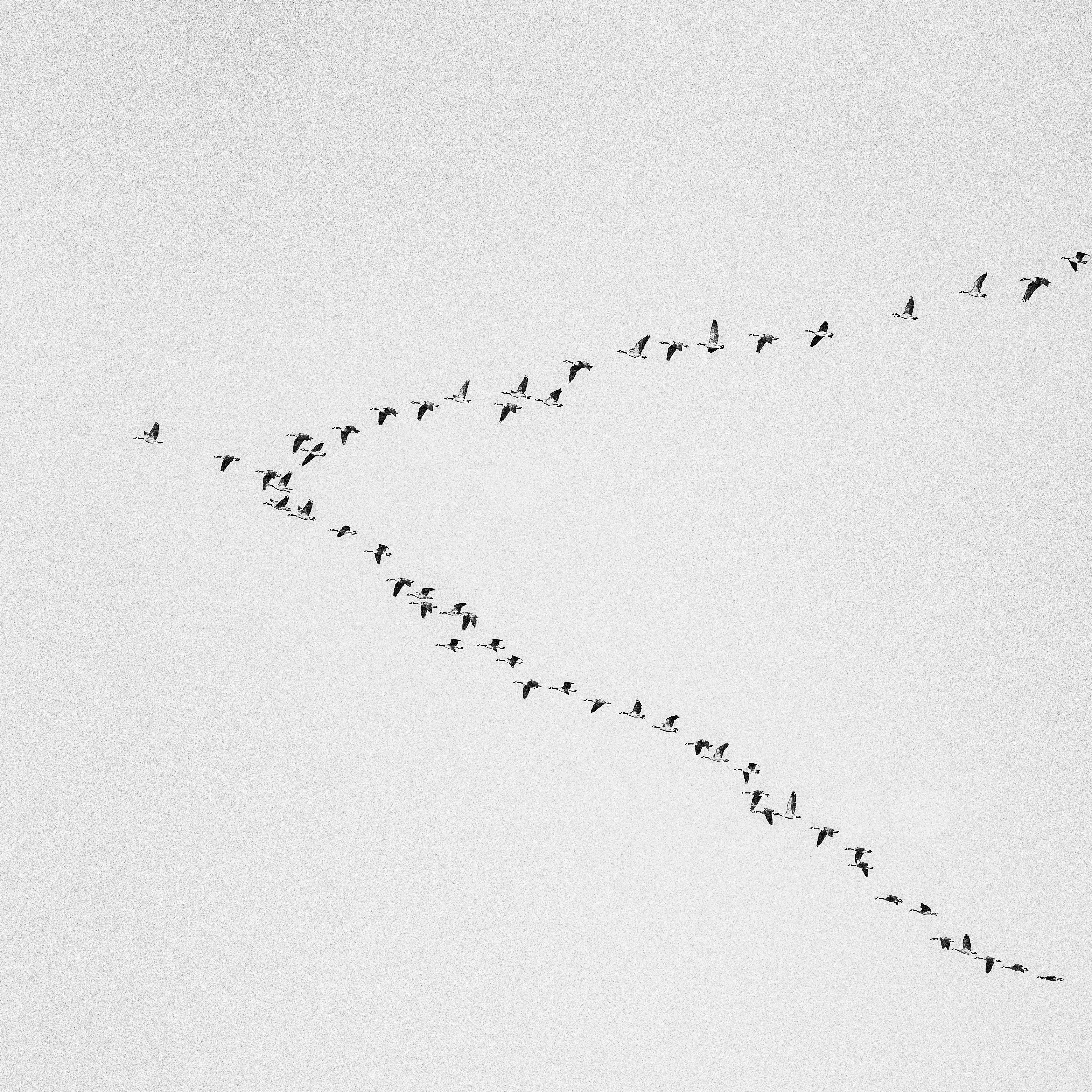 Cover image for Symfony & Doctrine Migrations: Validation in CI