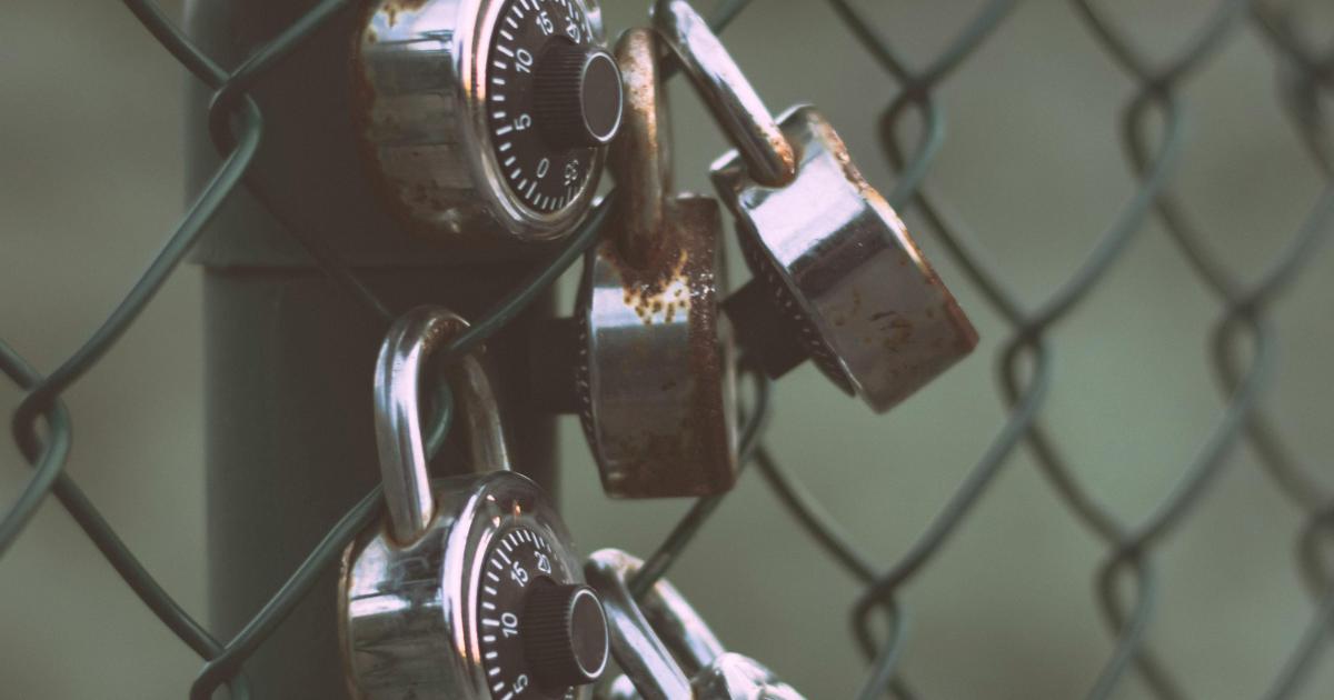 Silver padlocks on green steel fence